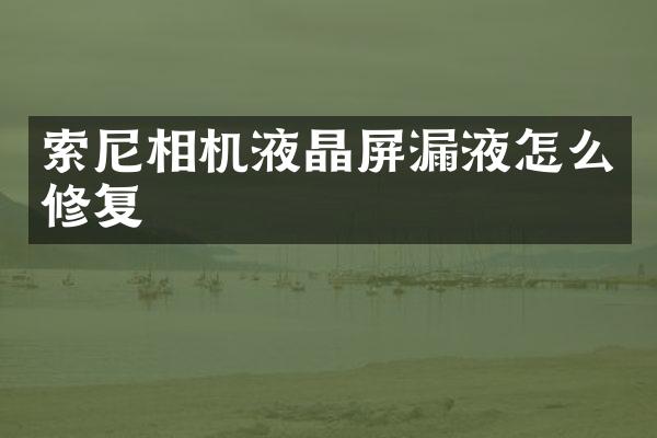 索尼相机液晶屏漏液怎么修复