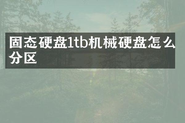 固态硬盘1tb机械硬盘怎么分区