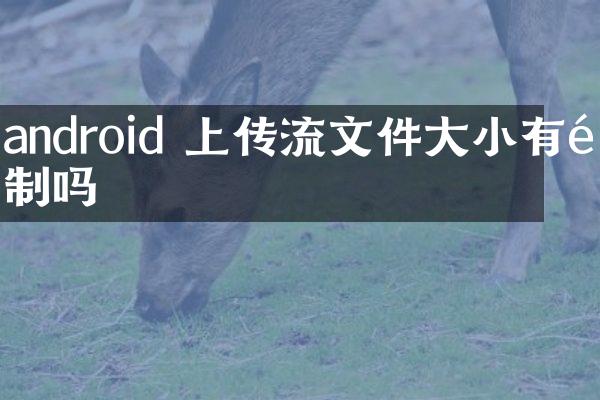android 上传流文件大小有限制吗