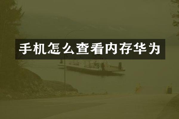 手机怎么查看内存华为