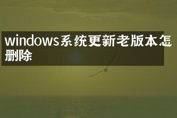 windows系统更新老版本怎么删除