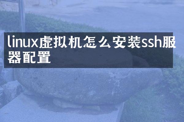linux虚拟机怎么安装ssh服务器配置