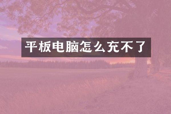 平板电脑怎么充不了