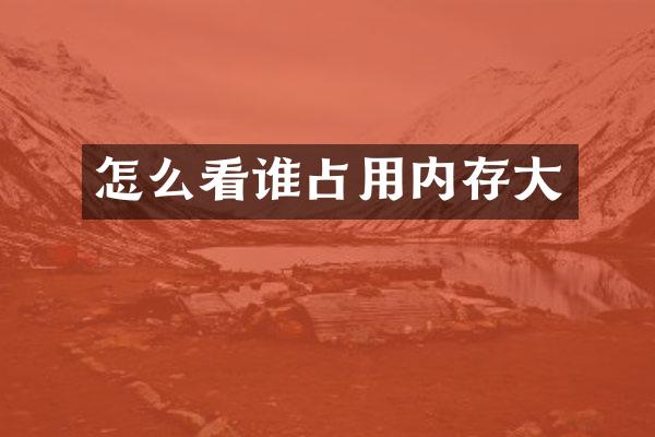 怎么看谁占用内存大