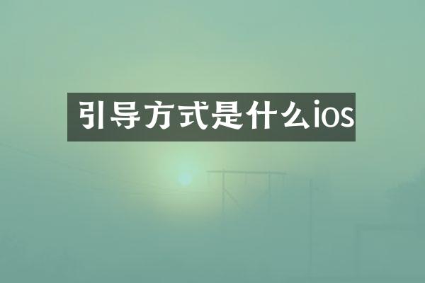 引导方式是什么ios