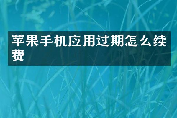 苹果手机应用过期怎么续费