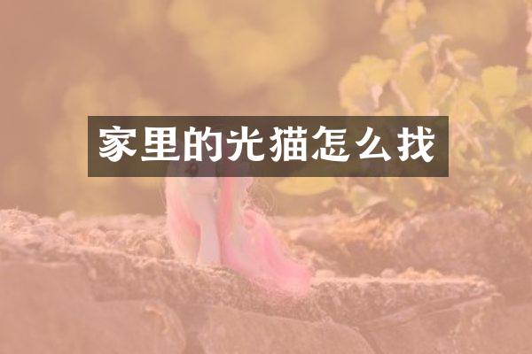 家里的光猫怎么找