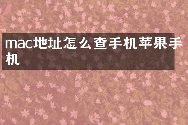 mac地址怎么查手机苹果手机