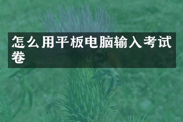 怎么用平板电脑输入考试卷