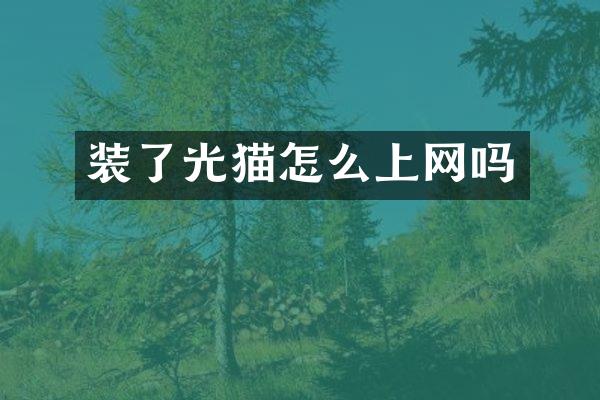 装了光猫怎么上网吗