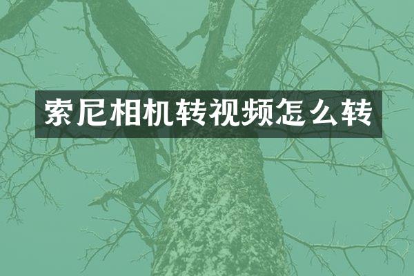 索尼相机转视频怎么转