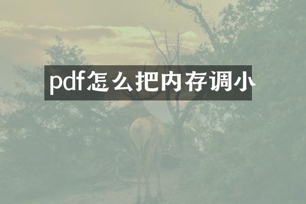 pdf怎么把内存调小