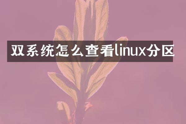 双系统怎么查看linux分区