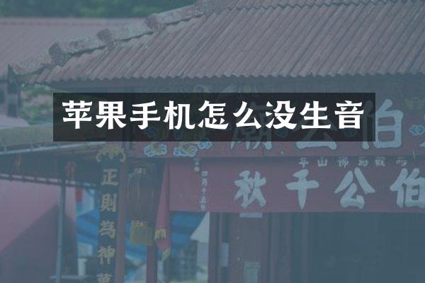 苹果手机怎么没生音
