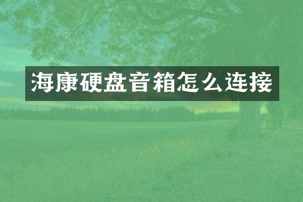 海康硬盘音箱怎么连接