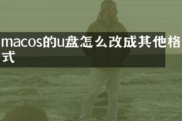 macos的u盘怎么改成其他格式