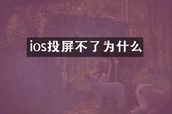 ios投屏不了为什么
