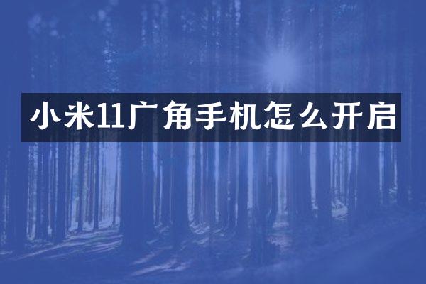 小米11广角手机怎么开启