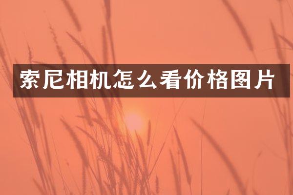 索尼相机怎么看价格图片
