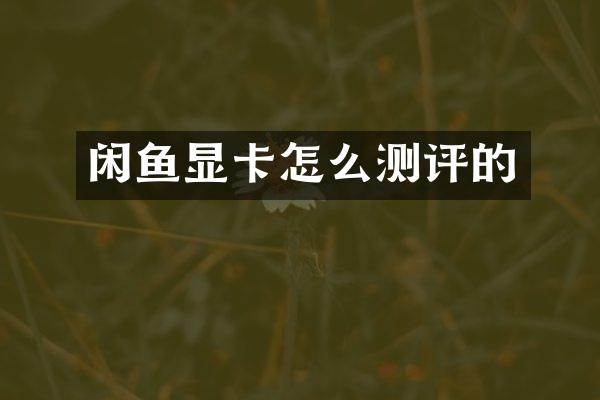 闲鱼显卡怎么测评的