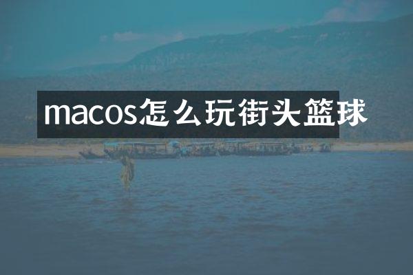 macos怎么玩街头篮球
