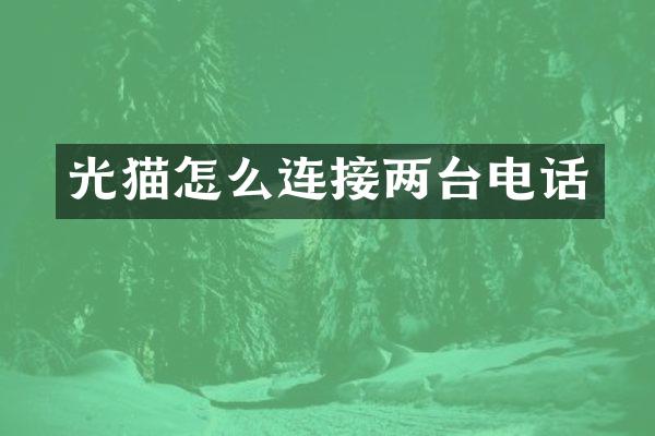 光猫怎么连接两台电话