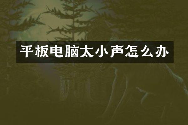 平板电脑太小声怎么办