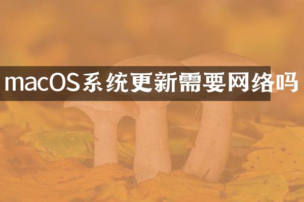 macOS系统更新需要网络吗