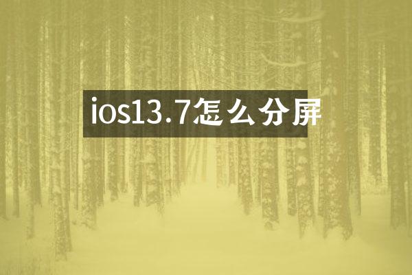 ios13.7怎么分屏