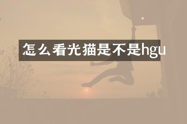 怎么看光猫是不是hgu