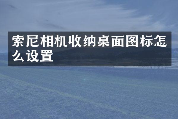 索尼相机收纳桌面图标怎么设置