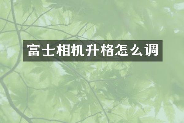 富士相机升格怎么调