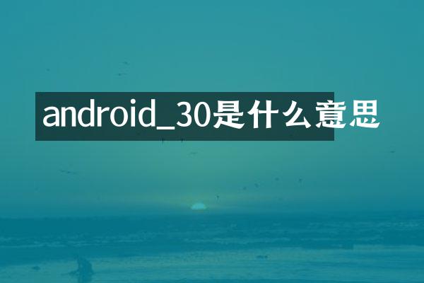 android_30是什么意思