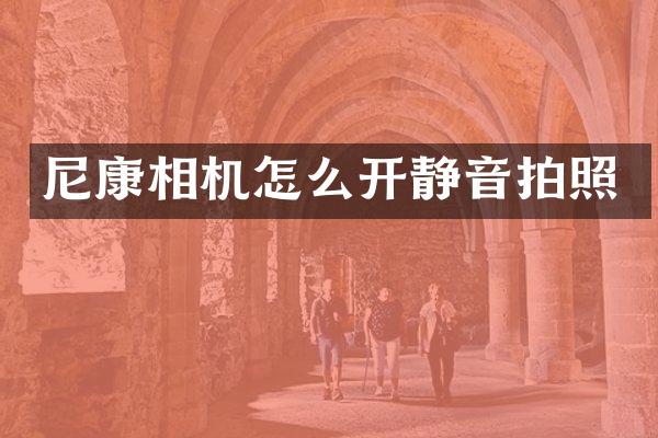 尼康相机怎么开静音拍照