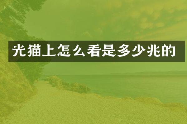 光猫上怎么看是多少兆的