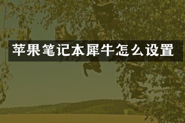 苹果笔记本犀牛怎么设置