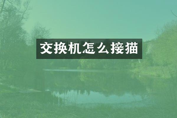 交换机怎么接猫