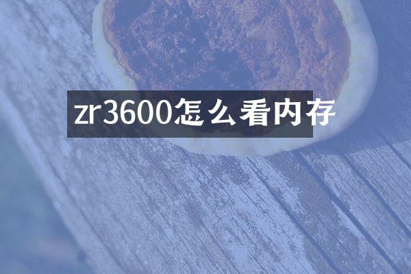 zr3600怎么看内存