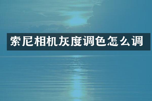 索尼相机灰度调色怎么调