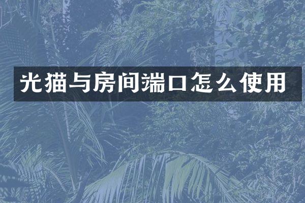 光猫与房间端口怎么使用