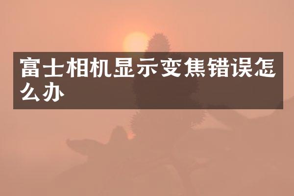 富士相机显示变焦错误怎么办
