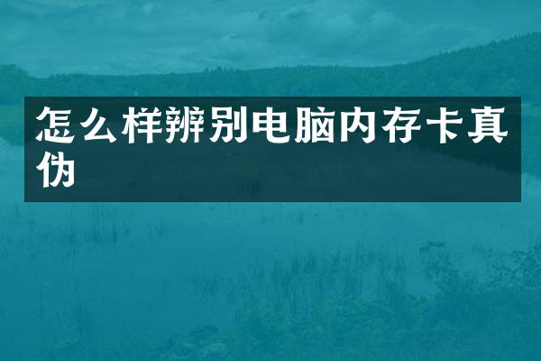 怎么样辨别电脑内存卡真伪