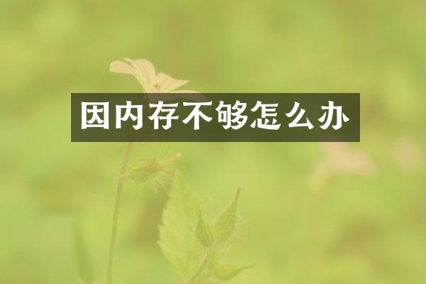 因内存不够怎么办
