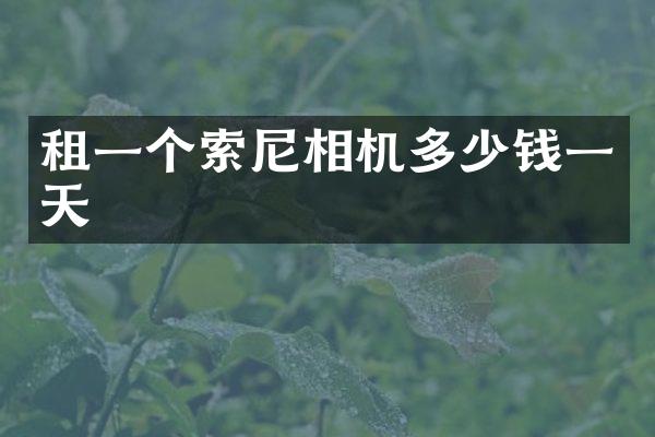 租一个索尼相机多少钱一天