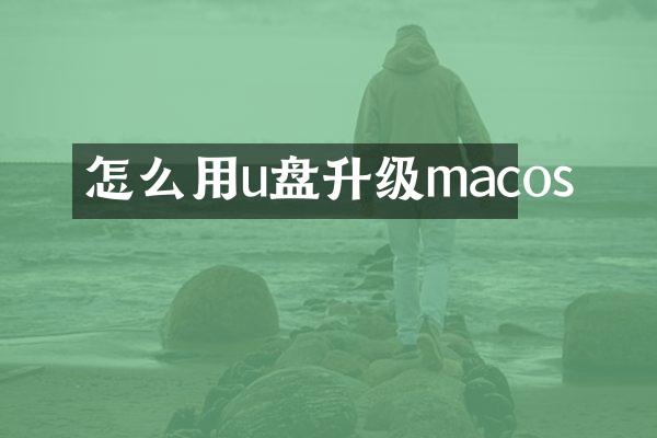 怎么用u盘升级macos