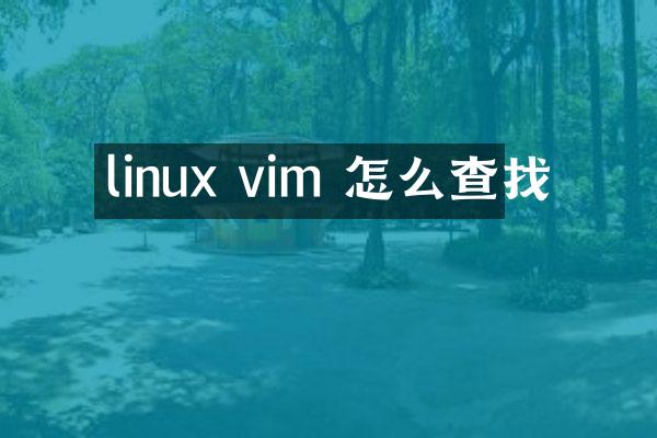 linux vim 怎么查找