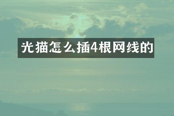 光猫怎么插4根网线的