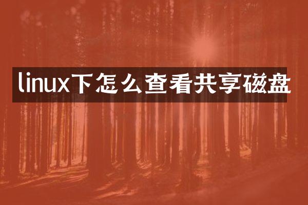 linux下怎么查看共享磁盘