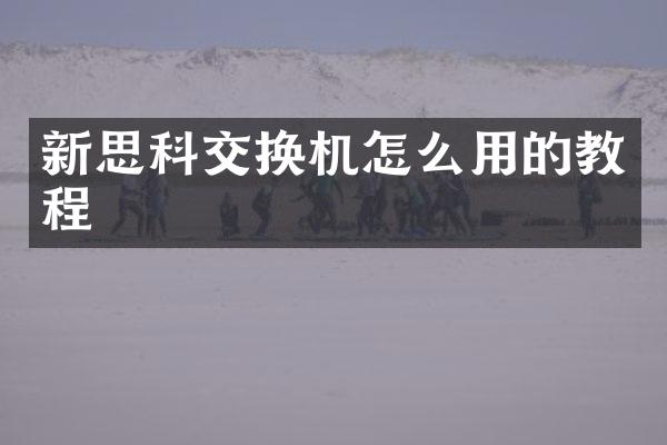 新思科交换机怎么用的教程