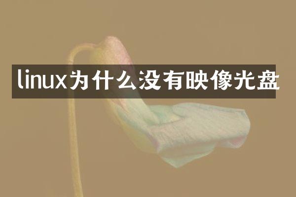 linux为什么没有映像光盘